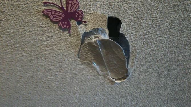 ǂɑ傫ȌJĂ܂B