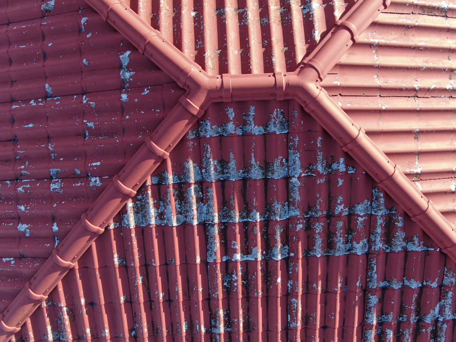 �{�H�O�@�z50�N���@�����U(�m���A�X�x�X�g�j