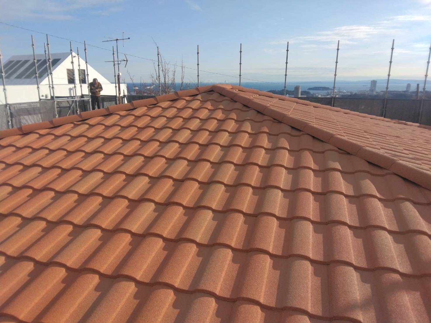 �{�H��@�f�B�[�Y���[�t�B���O�@�������[�}��