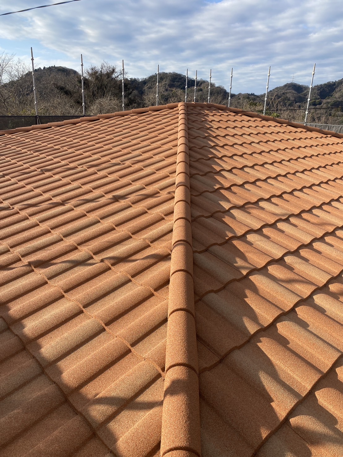 �f�B�[�Y���[�t�B���O�@���[�}���@�^�X�J�j�[