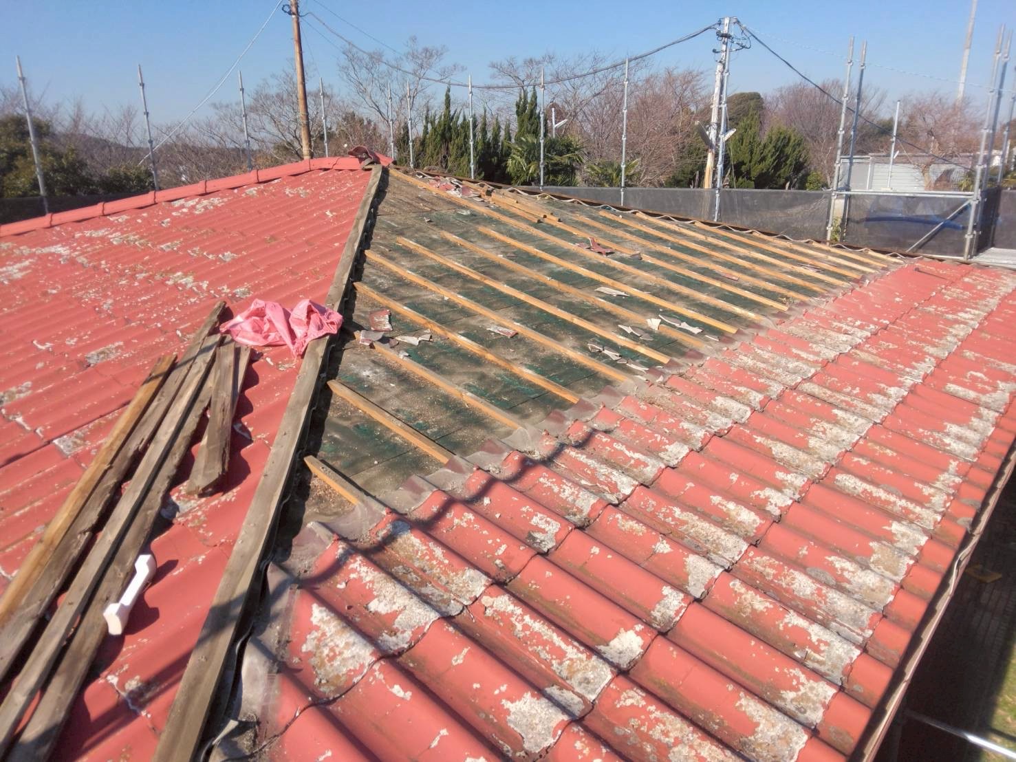 �����U�E���ؓO����̏�